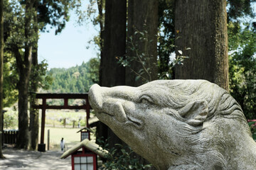 Fototapeta na wymiar 森の中の和気神社の風景