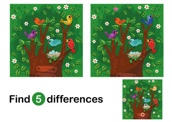 Find 5 differences education game for children. Colorful cartoon birds on the tree. Educational game for kids. Vector illustration.