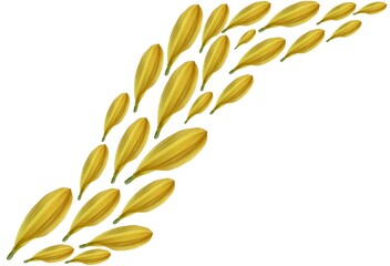 Repeated pattern of a yellow flower petal with the white background.