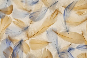 Feathers background. Blue and beige feathers texture. Natural materials surface.Beautiful nature...