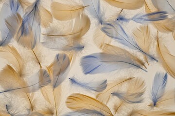 Feathers background in pastel colors. Blue and beige feathers texture. Natural materials...