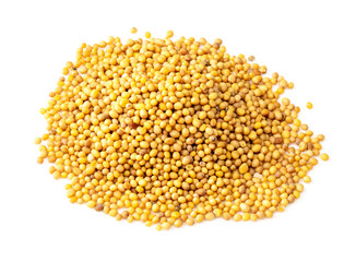 handful of yellow seeds of mustard Brassica Juncea