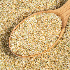 unhulled foxtail millet seeds in wood spoon closeup