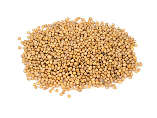 handful of white mustard seeds closeup on white