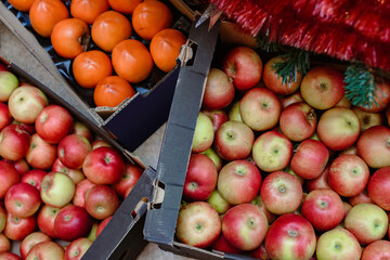 Fresh orange fruits and apples near decorated christmas tree