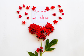you are not alone message card handwriting with red flowers rubiaceae arrangement flat lay postcard hearts style on background white