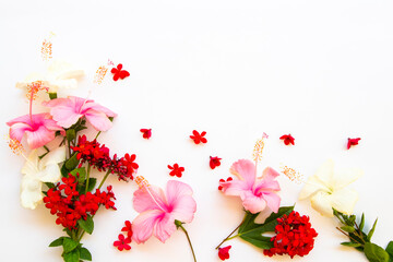 pink, white flowers hibiscus with red flowers rubiaceae local flora of asia arrangement flat lay postcard style on background white 