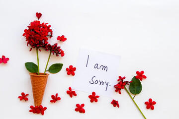 i am sorry message card handwriting with red flowers rubiaceae in cone arrangement flat lay...