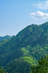 Fototapeta na wymiar 新緑の風景　御岳山　長尾平からの風景