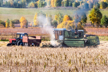 Combine harvester and agricultural tractor croping grain from the field