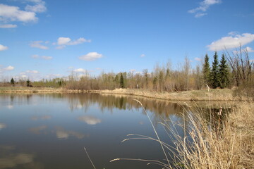 Still Waters, Pylypow Wetlands, Edmonton, Alberta