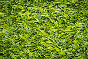 Green artificial grass for lawn decoration