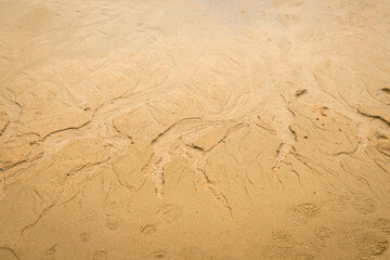Water erodes the sand on the beach