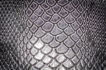 close up of snake skin texture use for background