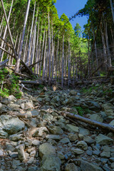 鍾乳洞と滝の道　登山道　沢