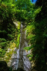 Fototapeta premium 綾滝 新緑 春の風景