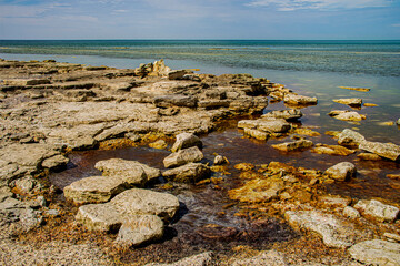 Каспийский берег. Прогулки у моря