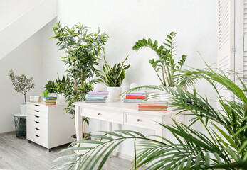 Books on table and houseplants in interior of light room