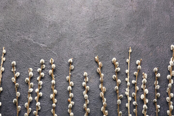 Willow branches on dark background