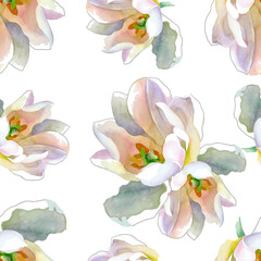 White tulips watercolor isolated on white background seamless pattern for all prints. Hand painting.