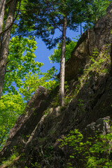 つづら岩　クライミングで有名な岩　奇岩