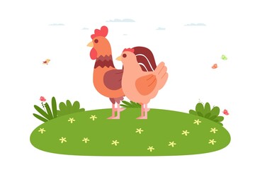 Chicken. Domestic bird and farm animal. Rooster and hen are standing on the lawn. Vector illustration in cartoon flat style.