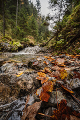 Mountain landscape. Misty forest. Natural river stream. Slovakia, Low Tatras, Demenovska hora and dolina vyvierania. Liptov travel. © Zedspider