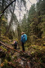 Mountain landscape. Misty forest. Natural outdoor travel background. Slovakia, Low Tatras, Demenovska hora and dolina vyvierania. Liptov travel. © Zedspider