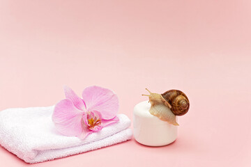 Skin rejuvenation cosmetics on pink background with snail, flower and white towel, snail mucin cream, skin hydration, beauty, spa concept. Soft selective focus, copy space.