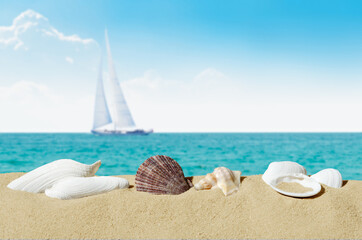 Fototapeta na wymiar white shells on sand, sailing ship and azure blue sky with white clouds