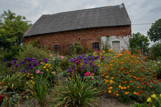 Home With Beautifull Garden