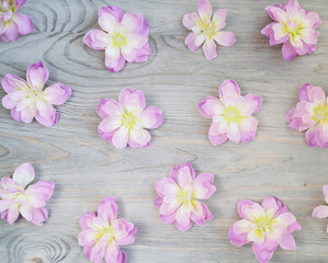 flowers on wooden background
