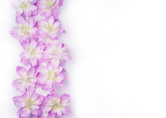 Obraz na płótnie Canvas flowers on white