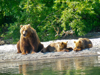 The Bear Family after fishing