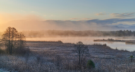 Nebel zur Goldenen Stunde nach Sonnenaufgang an den Osterseen in Bayern