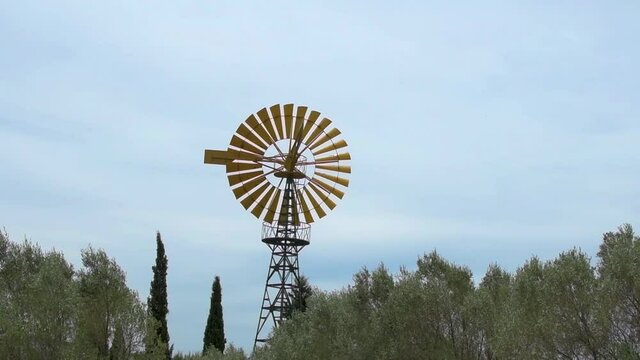 Yellow wind wheel sticking out of vegetation against a blue sky. Spinning.