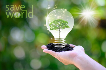 Human hand holding energy saving light bulb and save world concept, World environment day concept,save world and business eco concept