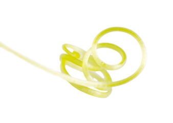Fototapeta premium Cucumber tendril isolated on white background.