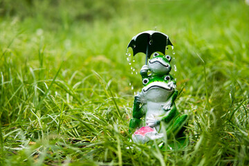 frogs under an umbrella summer rain