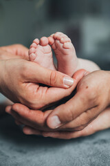 Newborn baby feet in parents hands