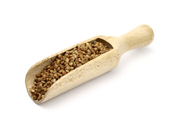 Buckwheat in a wooden scoop isolated on white