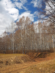 Obraz premium Spring park, the snow has melted, the first grass appears. Perm region, Russia