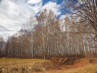 Spring park, the snow has melted, the first grass appears. Perm region, Russia