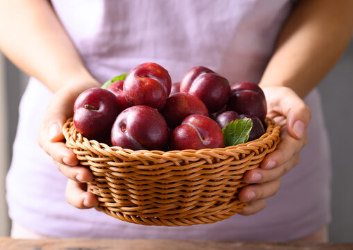 Fresh Japanese or Chinese plum fruit in bamboo basket holding by woman hand