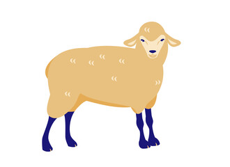 Sheep. Vector illustration in flat cartoon style. Isolated on a white background.