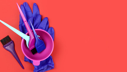 Professional Hair Coloring kit - bowl, brushes, gloves