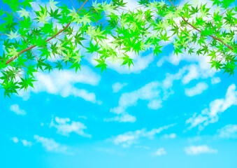青紅葉　青空　雲