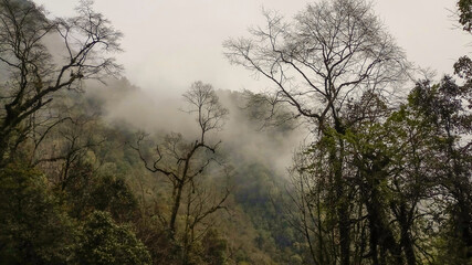 Mystical Mishmi- Mishmi hills, Roing, Arunachal Pradesh, India.