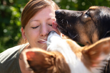 a group of cute funny dogs are licking the face of a beautiful young woman - obrazy, fototapety, plakaty