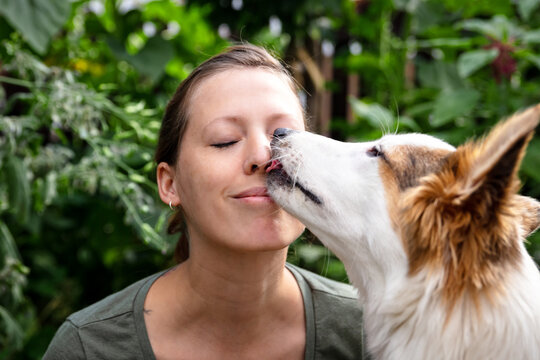 ute puppy dog is licking the face of a pretty young woman